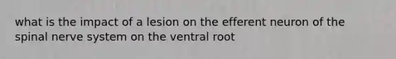 what is the impact of a lesion on the efferent neuron of the spinal nerve system on the ventral root