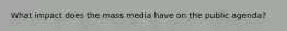 What impact does the mass media have on the public agenda?