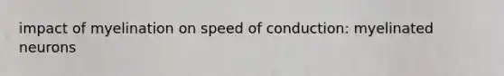 impact of myelination on speed of conduction: myelinated neurons