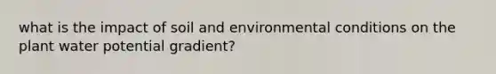 what is the impact of soil and environmental conditions on the plant water potential gradient?