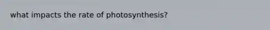 what impacts the rate of photosynthesis?