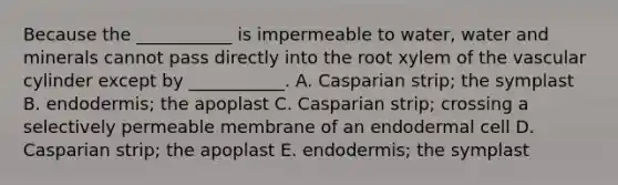 Because the ___________ is impermeable to water, water and minerals cannot pass directly into the root xylem of the vascular cylinder except by ___________. A. Casparian strip; the symplast B. endodermis; the apoplast C. Casparian strip; crossing a selectively permeable membrane of an endodermal cell D. Casparian strip; the apoplast E. endodermis; the symplast