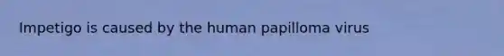 Impetigo is caused by the human papilloma virus