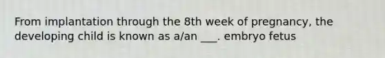 From implantation through the 8th week of pregnancy, the developing child is known as a/an ___. embryo fetus