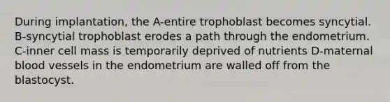 During implantation, the A-entire trophoblast becomes syncytial. B-syncytial trophoblast erodes a path through the endometrium. C-inner cell mass is temporarily deprived of nutrients D-maternal blood vessels in the endometrium are walled off from the blastocyst.