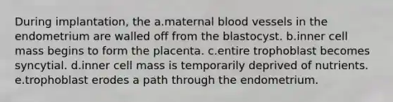 During implantation, the a.maternal blood vessels in the endometrium are walled off from the blastocyst. b.inner cell mass begins to form the placenta. c.entire trophoblast becomes syncytial. d.inner cell mass is temporarily deprived of nutrients. e.trophoblast erodes a path through the endometrium.