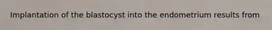 Implantation of the blastocyst into the endometrium results from