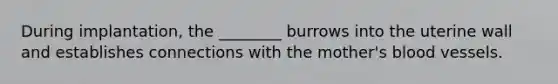 During implantation, the ________ burrows into the uterine wall and establishes connections with the mother's blood vessels.