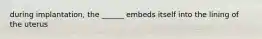 during implantation, the ______ embeds itself into the lining of the uterus