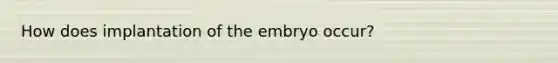 How does implantation of the embryo occur?