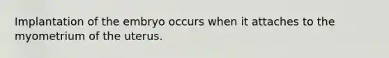 Implantation of the embryo occurs when it attaches to the myometrium of the uterus.