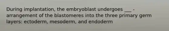 During implantation, the embryoblast undergoes ___ - arrangement of the blastomeres into the three primary germ layers: ectoderm, mesoderm, and endoderm