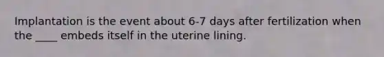 Implantation is the event about 6-7 days after fertilization when the ____ embeds itself in the uterine lining.