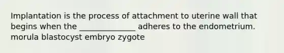 Implantation is the process of attachment to uterine wall that begins when the ______________ adheres to the endometrium. morula blastocyst embryo zygote