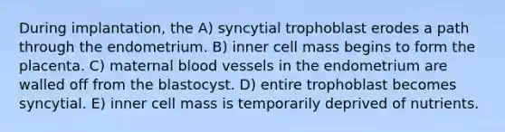 During implantation, the A) syncytial trophoblast erodes a path through the endometrium. B) inner cell mass begins to form the placenta. C) maternal blood vessels in the endometrium are walled off from the blastocyst. D) entire trophoblast becomes syncytial. E) inner cell mass is temporarily deprived of nutrients.