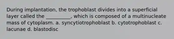 During implantation, the trophoblast divides into a superficial layer called the __________, which is composed of a multinucleate mass of cytoplasm. a. syncytiotrophoblast b. cytotrophoblast c. lacunae d. blastodisc