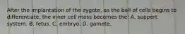 After the implantation of the zygote, as the ball of cells begins to differentiate, the inner cell mass becomes the: A. support system. B. fetus. C. embryo. D. gamete.