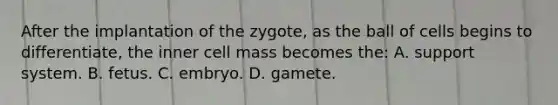 After the implantation of the zygote, as the ball of cells begins to differentiate, the inner cell mass becomes the: A. support system. B. fetus. C. embryo. D. gamete.