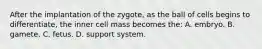 After the implantation of the zygote, as the ball of cells begins to differentiate, the inner cell mass becomes the: A. embryo. B. gamete. C. fetus. D. support system.