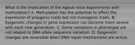 What is the implication of the Agouti mice experiments with methylation? A. Methylation has the potential to affect the expression of polygenic traits but not monogenic traits. B. Epigenetic changes in gene expression can become more severe with each new generation. C. Some variations in phenotype are not related to DNA allele sequence variation. D. Epigenetic changes are reversible when DNA repair mechanisms are active.