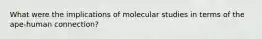 What were the implications of molecular studies in terms of the ape-human connection?