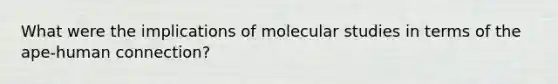 What were the implications of molecular studies in terms of the ape-human connection?