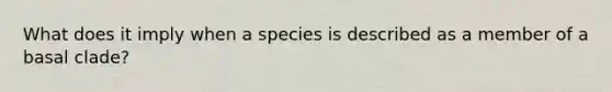 What does it imply when a species is described as a member of a basal clade?