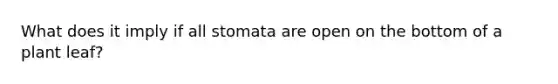 What does it imply if all stomata are open on the bottom of a plant leaf?