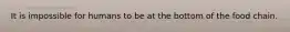 It is impossible for humans to be at the bottom of the food chain.