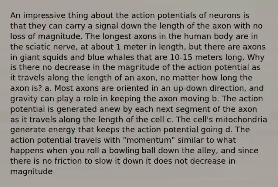 An impressive thing about the action potentials of neurons is that they can carry a signal down the length of the axon with no loss of magnitude. The longest axons in the human body are in the sciatic nerve, at about 1 meter in length, but there are axons in giant squids and blue whales that are 10-15 meters long. Why is there no decrease in the magnitude of the action potential as it travels along the length of an axon, no matter how long the axon is? a. Most axons are oriented in an up-down direction, and gravity can play a role in keeping the axon moving b. The action potential is generated anew by each next segment of the axon as it travels along the length of the cell c. The cell's mitochondria generate energy that keeps the action potential going d. The action potential travels with "momentum" similar to what happens when you roll a bowling ball down the alley, and since there is no friction to slow it down it does not decrease in magnitude