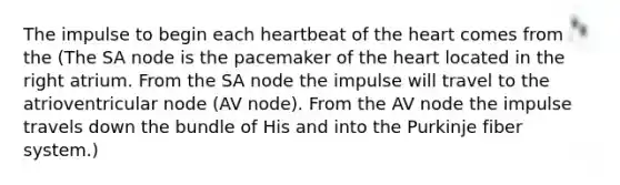 The impulse to begin each heartbeat of the heart comes from the (The SA node is the pacemaker of the heart located in the right atrium. From the SA node the impulse will travel to the atrioventricular node (AV node). From the AV node the impulse travels down the bundle of His and into the Purkinje fiber system.)