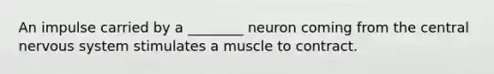 An impulse carried by a ________ neuron coming from the central nervous system stimulates a muscle to contract.