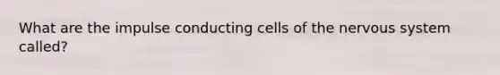 What are the impulse conducting cells of the <a href='https://www.questionai.com/knowledge/kThdVqrsqy-nervous-system' class='anchor-knowledge'>nervous system</a> called?