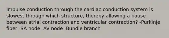 Impulse conduction through the cardiac conduction system is slowest through which structure, thereby allowing a pause between atrial contraction and ventricular contraction? -Purkinje fiber -SA node -AV node -Bundle branch