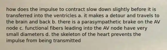 how does the impulse to contract slow down slightly before it is transferred into the ventricles a. it makes a detour and travels to the brain and back b. there is a parasympathetic brake on the AV node c. functional fibers leading into the AV node have very small diameters d. the skeleton of the heart prevents the impulse from being transmitted