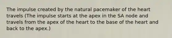 The impulse created by the natural pacemaker of the heart travels (The impulse starts at the apex in the SA node and travels from the apex of the heart to the base of the heart and back to the apex.)