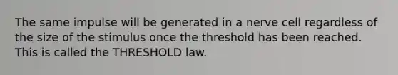 The same impulse will be generated in a nerve cell regardless of the size of the stimulus once the threshold has been reached. This is called the THRESHOLD law.