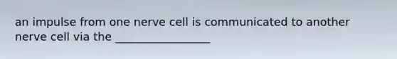 an impulse from one nerve cell is communicated to another nerve cell via the _________________