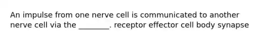 An impulse from one nerve cell is communicated to another nerve cell via the ________. receptor effector cell body synapse