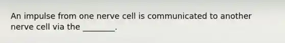 An impulse from one nerve cell is communicated to another nerve cell via the ________.