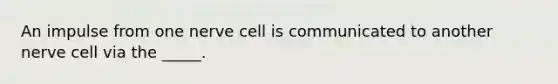 An impulse from one nerve cell is communicated to another nerve cell via the _____.