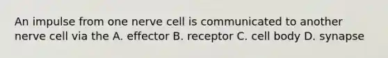 An impulse from one nerve cell is communicated to another nerve cell via the A. effector B. receptor C. cell body D. synapse