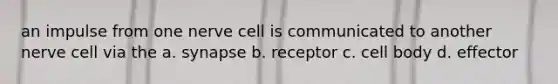 an impulse from one nerve cell is communicated to another nerve cell via the a. synapse b. receptor c. cell body d. effector