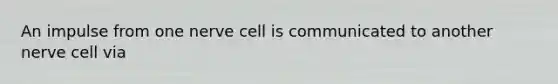 An impulse from one nerve cell is communicated to another nerve cell via