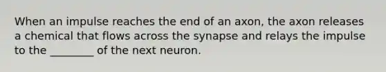 When an impulse reaches the end of an axon, the axon releases a chemical that flows across <a href='https://www.questionai.com/knowledge/kTCXU7vaKU-the-synapse' class='anchor-knowledge'>the synapse</a> and relays the impulse to the ________ of the next neuron.