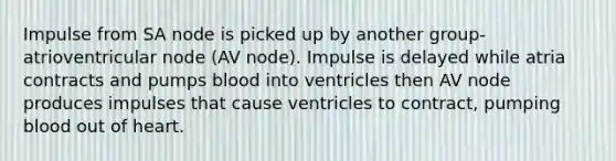 Impulse from SA node is picked up by another group-atrioventricular node (AV node). Impulse is delayed while atria contracts and pumps blood into ventricles then AV node produces impulses that cause ventricles to contract, pumping blood out of heart.