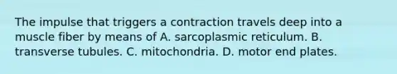 The impulse that triggers a contraction travels deep into a muscle fiber by means of A. sarcoplasmic reticulum. B. transverse tubules. C. mitochondria. D. motor end plates.