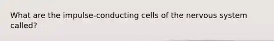 What are the impulse-conducting cells of the nervous system called?