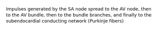 Impulses generated by the SA node spread to the AV node, then to the AV bundle, then to the bundle branches, and finally to the subendocardial conducting network (Purkinje fibers)