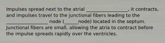 Impulses spread next to the atrial __________________, it contracts, and impulses travel to the junctional fibers leading to the __________________ node (______node) located in the septum. Junctional fibers are small, allowing the atria to contract before the impulse spreads rapidly over the ventricles.